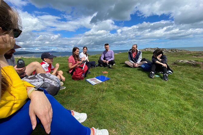 Day Tour from Dublin to Wicklow: Cliffs, Heritage, Wildlife, Gaol - What the Picnic and Lunch Setup Means for Your Day