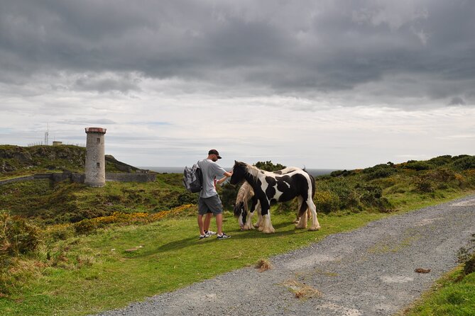 Day Tour from Dublin to Wicklow: Cliffs, Heritage, Wildlife, Gaol - Price and Value: Is $781.03 per Group a Good Deal?