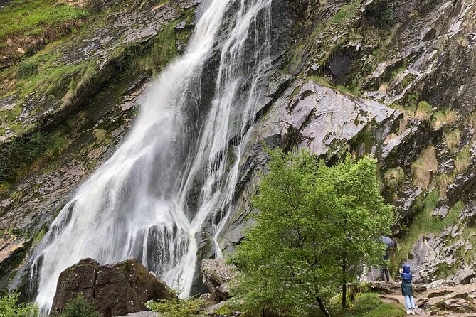 Day Tour from Dublin: Wicklow Mountains, Glendalough, Powerscourt - Powerscourt Waterfall: Ireland’s highest waterfall at 121 meters