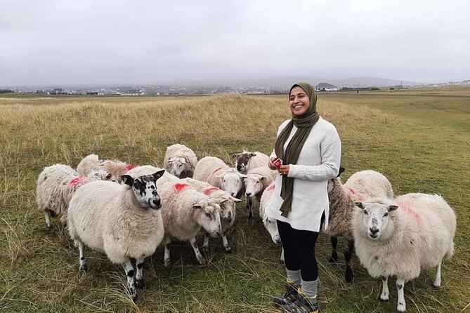 DAY TOUR: Highlights Of South Donegal - Price and Value: What You Pay for, and Why It Might Be Worth It