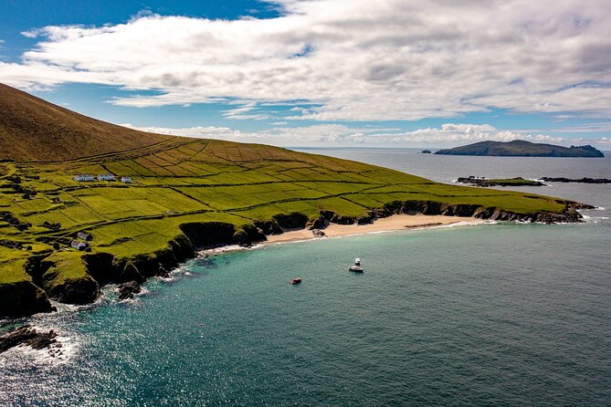 Dingle Dolphin Blasket Adventures - Key Highlights That Make This Tour Worth Your Time