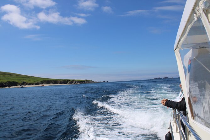 Dingle Dolphin Blasket Adventures - From Dingle Bay Out to the Great Blasket Islands (Without the Rush)
