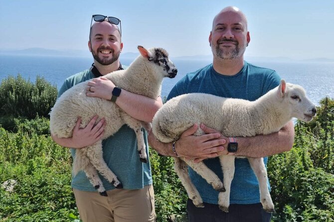 Dingle: Hour Slea Head Drive Tour 4hr - Personal Chauffeur Guide - The Real Value: Local Guidance That Turns Views Into Meaning