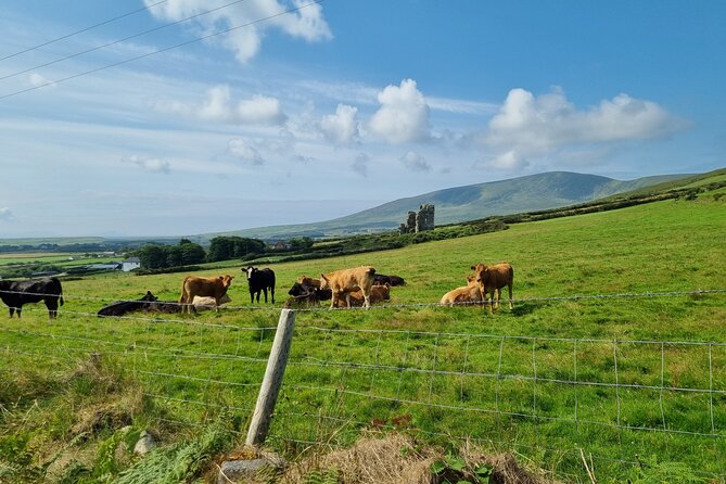 Dingle: Hour Slea Head Drive Tour 4hr - Personal Chauffeur Guide - Costs and Admission Fees: Where Your Money Goes