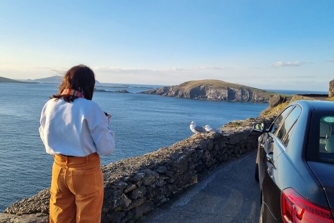 Dingle: Hour Slea Head Drive Tour 4hr - Personal Chauffeur Guide - Getting There: Pickup, Comfort, and How to Plan Your Day