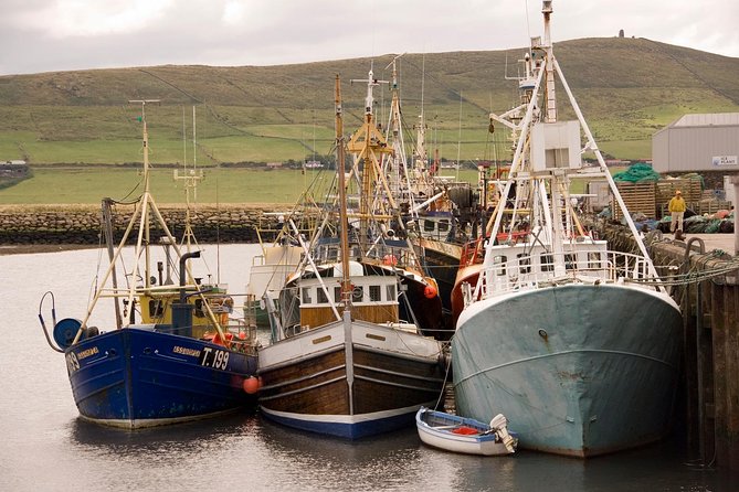 Dingle Peninsula Day Tour from Limerick: The Wild Atlantic Way - Key things that make this tour work