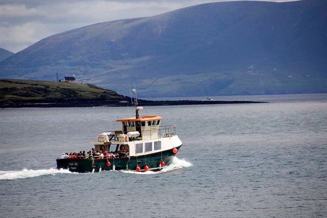 Dingle Peninsula Day Tour from Limerick: The Wild Atlantic Way - Adare and the push toward Killarney, where the day gets its pace