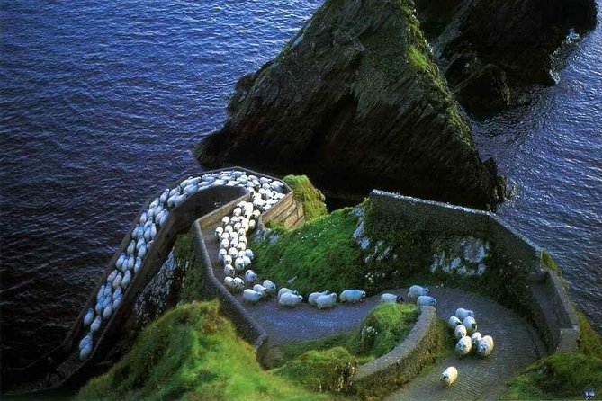 Dingle Peninsula Four Hour Private Tour - Getting Set Up in Dingle: Pickup, Mobile Ticket, and English-Friendly