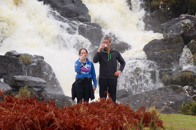 Dingle Peninsula Guided Walking Tour - Key highlights you will care about