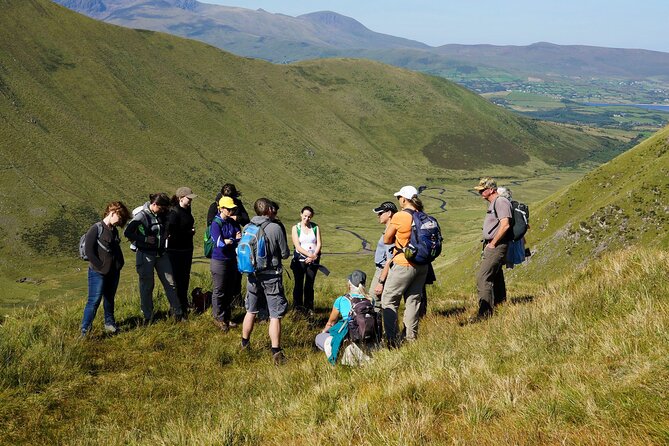 Dingle Peninsula Guided Walking Tour - Price and value: is $216.53 per person worth it?