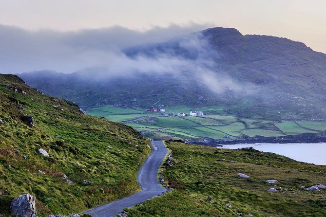 Dingle Peninsula & Slea Head Private Day Tour - Dingle town for lunch: fishing town energy with time to breathe