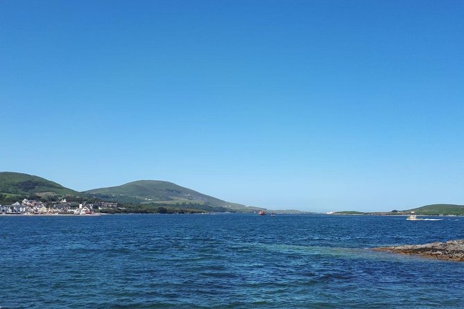 Dingle Peninsula & Slea Head - Private Mini Bus Tour - Reask and Gallarus Oratory: stone oratories that make you slow down