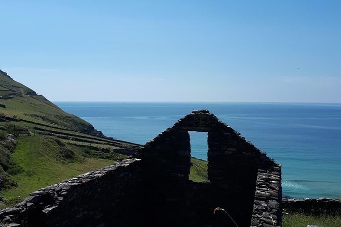 Dingle Peninsula & Slea Head - Private Mini Bus Tour - Dingle town for lunch and wandering: Fungi the dolphin included