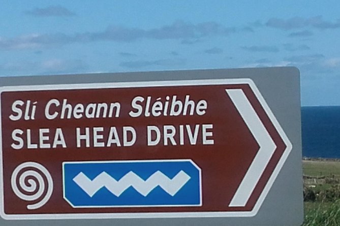 Dingle Peninsula & Slea Head - Private Mini Bus Tour - Minibus comfort and the small-group advantage (up to 8)