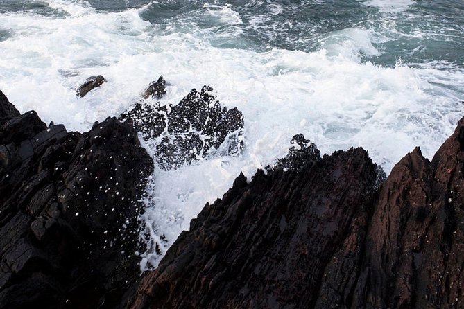 Dingle Peninsula Tour from Killarney: Including Wild Atlantic Way - Stop 3: Dingle town time, pubs, fish and chips