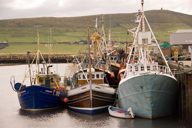 Dingle Peninsula Tour from Killarney: Including Wild Atlantic Way - Comfort and onboard extras: what to expect on the coach