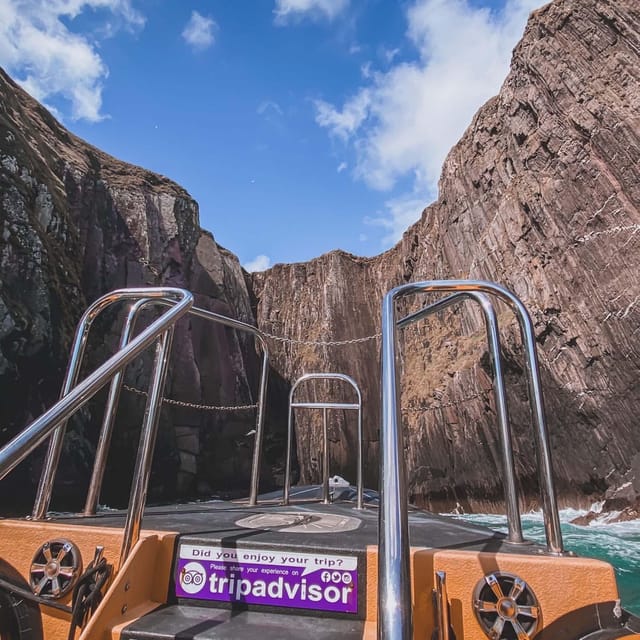 Dingle: Sea Safari by RIB Boat - Key highlights to look for