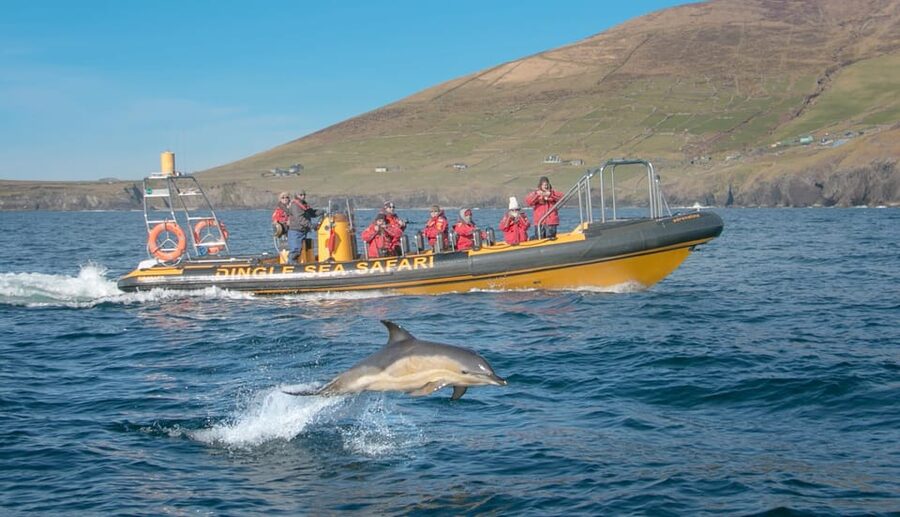 Dingle: Sea Safari by RIB Boat - Riding the Atlantic Waves: What the 2.5 Hours Feels Like