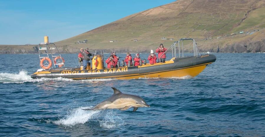 Dingle: Sea Safari by RIB Boat - Getting Ready at Dingle Sea Safari Office and the Pier