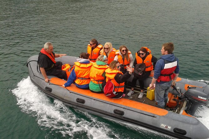 Dingle to Blasket Island Ferry - From Dingle Marina out the harbour, with Fungie in your sights