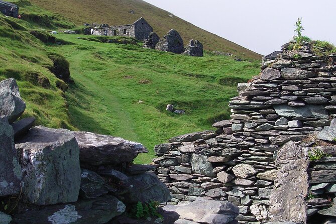 Dingle to Blasket Island Ferry - Group size, language, and the day’s overall feel