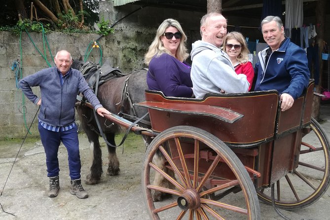 Dingle Town & Peninsula Private Chauffeur Driven Day Tour From Killarney Luxury - Weather, pace, and what to pack for a 7 to 9 hour day
