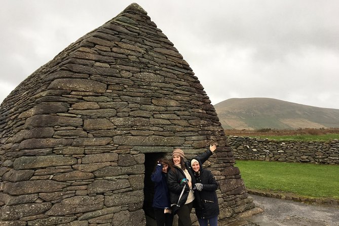 Dingle Town & Peninsula Private Chauffeur Driven Day Tour From Killarney Luxury - The Dingle Peninsula loop: bee hive huts, lamb feeding, and photo stops