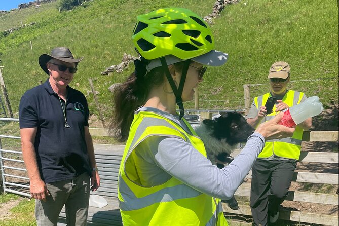 Discover Connemara Tour by Electric Fat Tyre Bike - The return to Galway: wrap-up time and how to use the evening