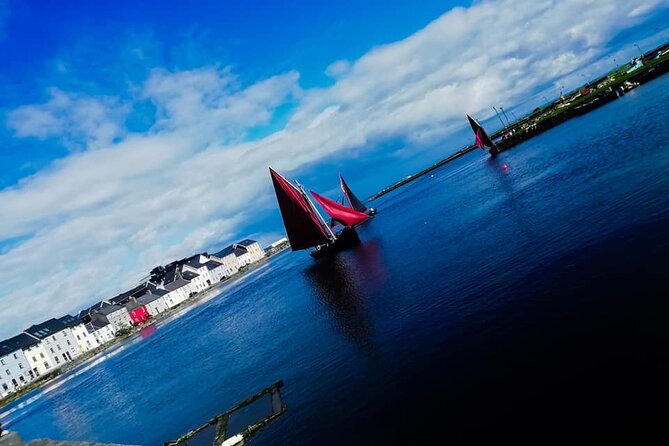Discover Galway City Walking Tour - Naughtons Pub and Richard Martin, animal rights before you expect it
