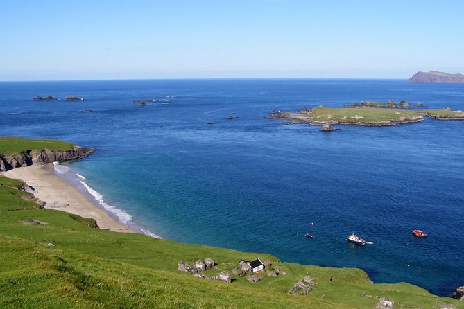 Dolphin and Whale Watching Tour from Dingle - The Guides and the Wildlife-Skimming Skill
