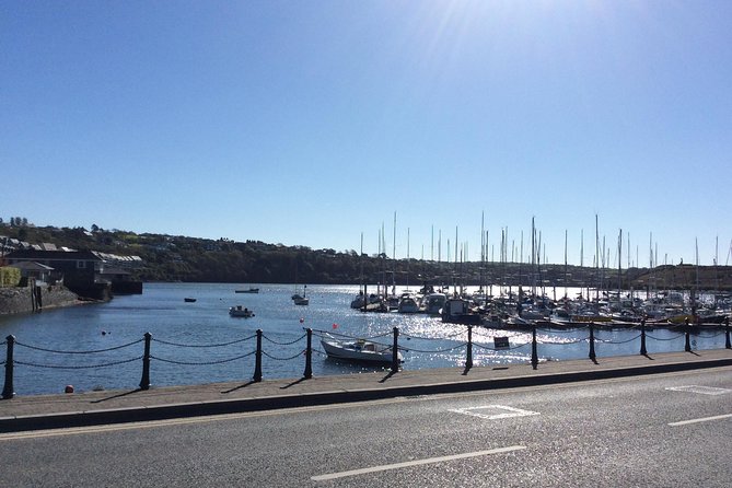 Driver Guide for up to 10 days (per day ) - Custom day trips beyond Dublin, from Waterford and Kilkenny to the Cliffs of Moher