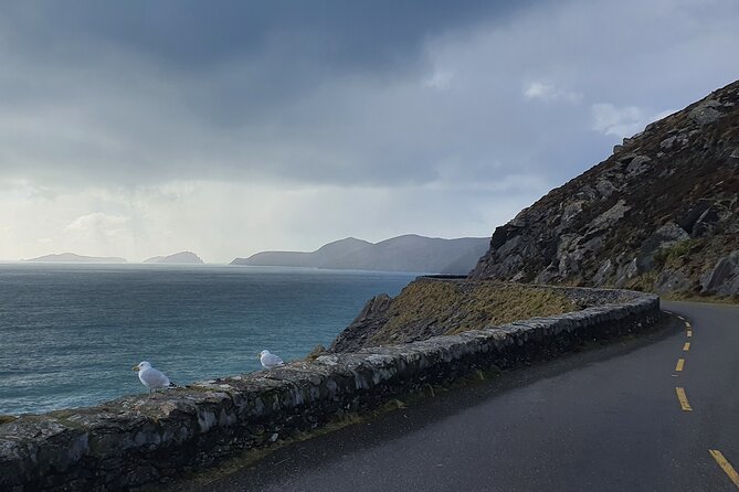 Dublin Airport to Galway ,Private Chauffeur Service - Should you book this Dublin to Galway private chauffeur?