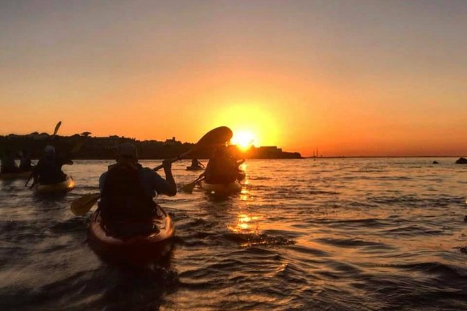 Dublin Bay Seal Kayaking Safari at Dalkey - Dublin Bay seals from a kayak, not a boat ride