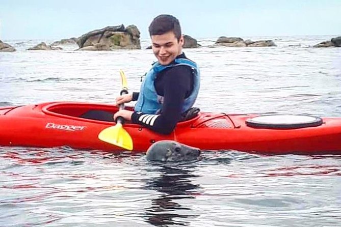 Dublin Bay Seal Kayaking Safari at Dalkey - Bullock Harbour to Dalkey Island: how the 3 hours usually moves