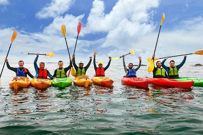 Dublin Bay Seal Kayaking Safari at Dalkey - Dublin Bay’s UNESCO biosphere: why the wildlife view is more than a photo