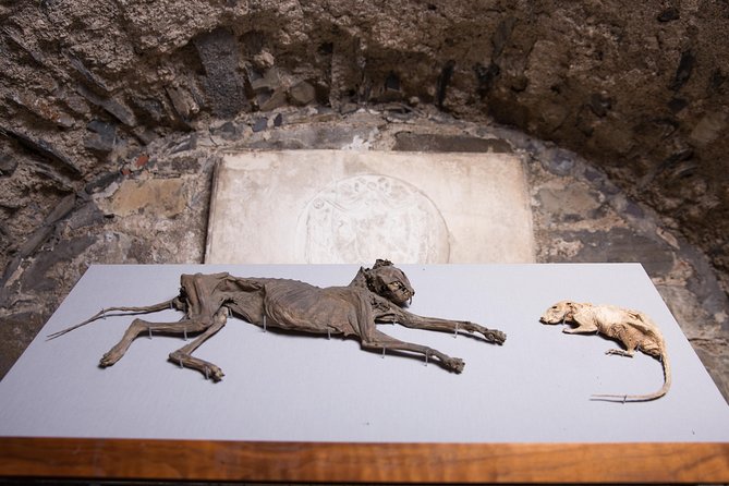Dublin Christ Church Cathedral Admission Ticket - Audio guide and mobile ticket tips for an easy self-guided visit