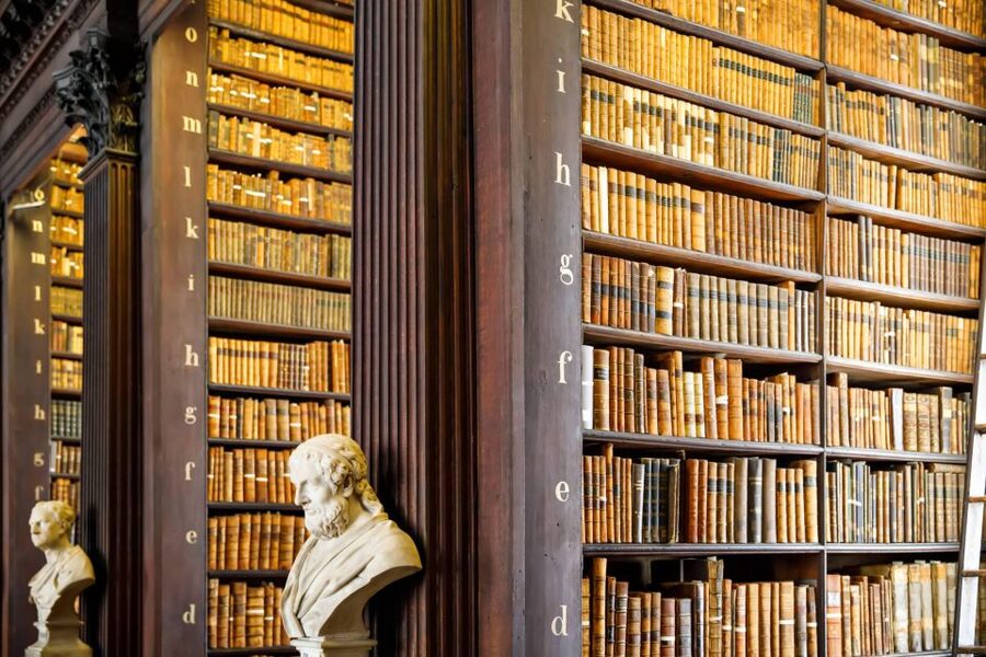 Dublin City Walking Tour, Vikings, St. Partick, Highlights - The 6-Hour Route: St Patrick’s Cathedral, the National Library, and Leinster House
