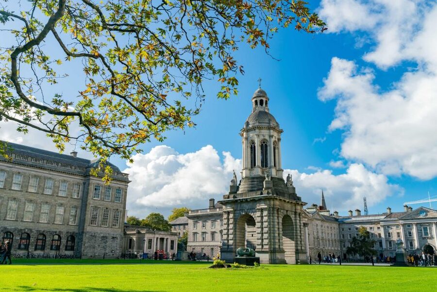 Dublin City Walking Tour, Vikings, St. Partick, Highlights - Dublin Castle Courtyard, Vikings, and Two Cathedrals in One Story