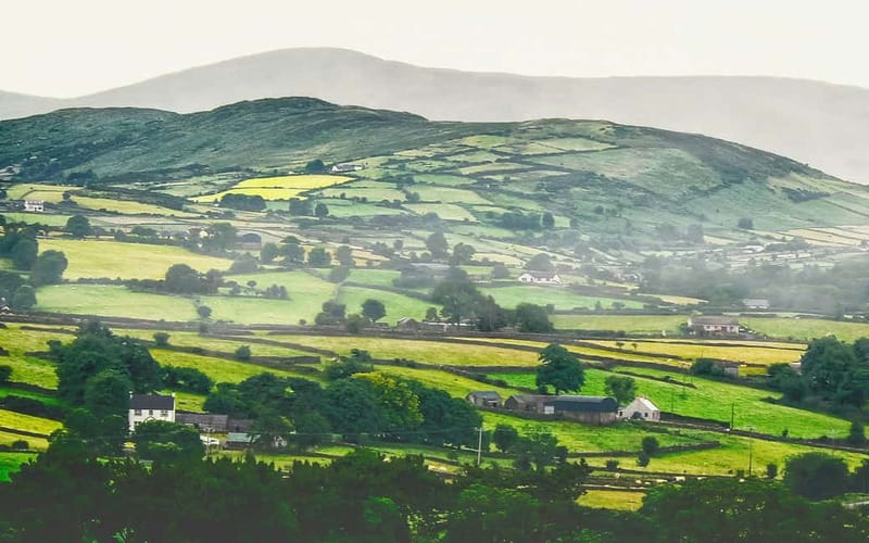 Dublin: Cliffs of Moher, Bunratty Castle and Ennis Day Trip - Price and Value: What You Actually Get for About $56