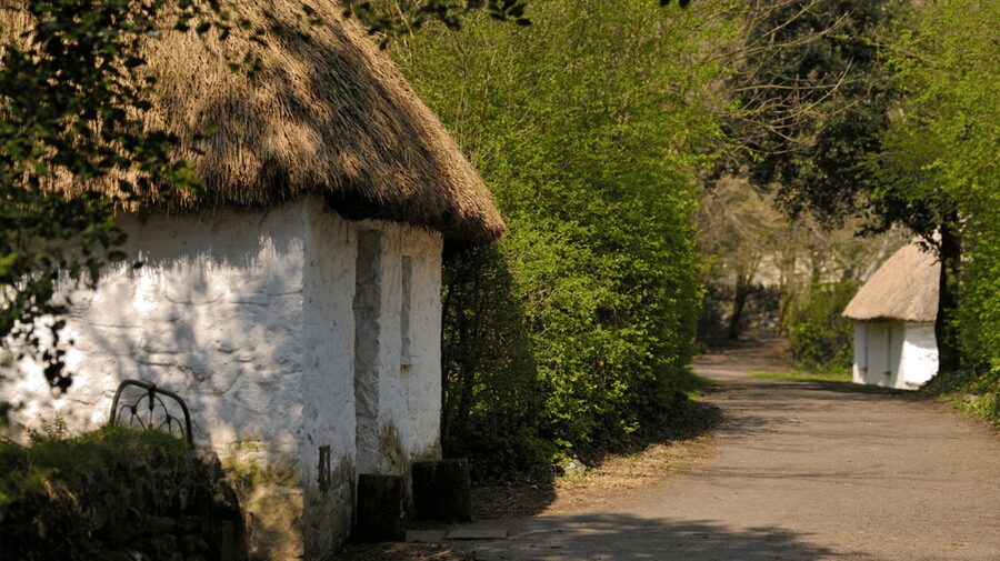 Dublin: Cliffs of Moher, Ennis, & Bunratty Castle Day Tour - Who This Tour Is Best For