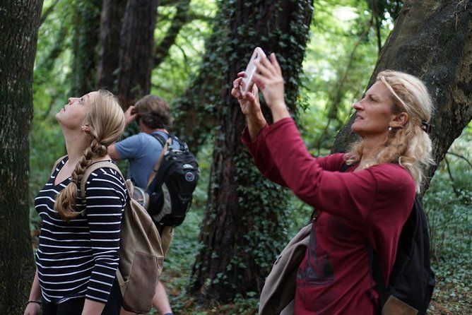 Dublin Coastal Hike with Howth Adventures - Why Howth Works So Well as a Dublin Side Trip