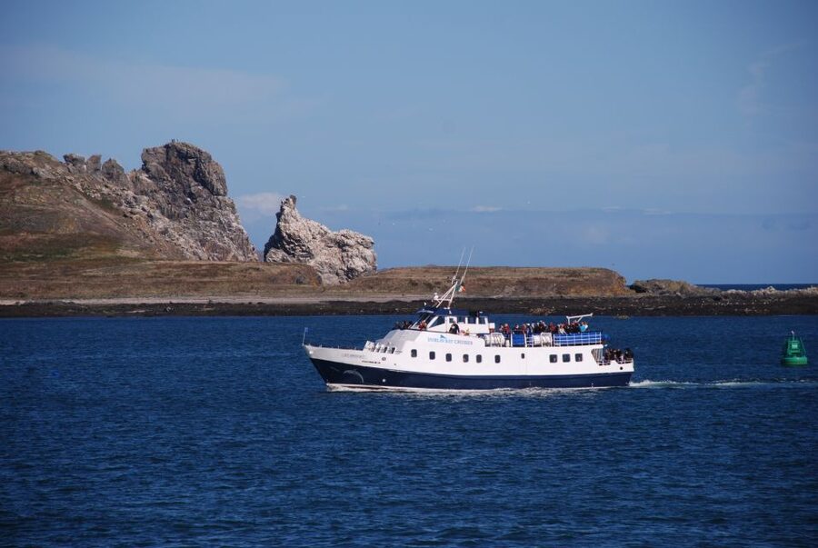 Dublin: Dublin Bay Cruise from Howth to Dun Laoghaire - Key Highlights You Will Actually Care About