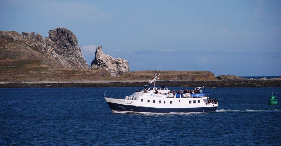 Dublin: Dublin Bay Cruise from Howth to Dun Laoghaire - Price and What You Actually Get for About $28