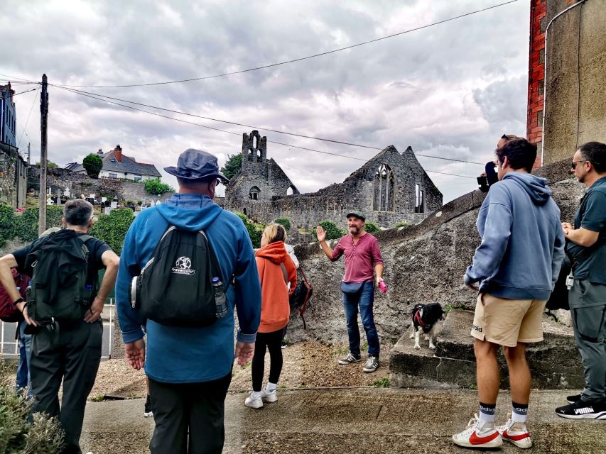 Dublin: Dublin Coastal Hike and Pints & Puppies - Who This Tour Is Best For (and Who Should Skip It)