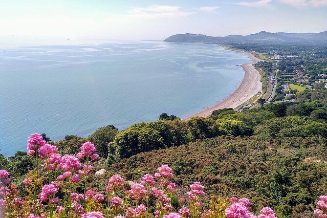 Dublin (Dun Laoghaire) Top-Rated Coastal Walking Tour - Meeting at Harbour Rd, Then Following the Coast Without Stress