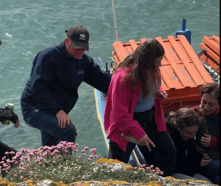 Dublin: Ferry from Howth to Ireland's Eye island - Birds, puffins, and other island wildlife: what you’re really signing up for