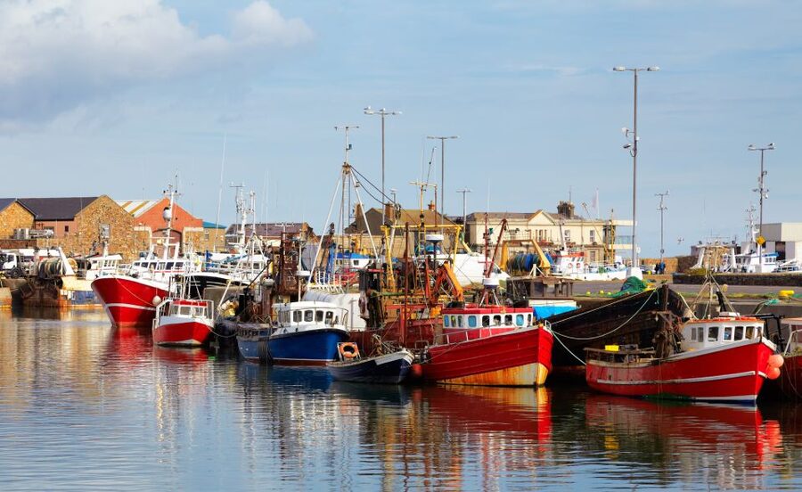 Dublin: Full-Day Howth and Malahide Castle Tour - Casino Marino photo stop: a quick break with odd charm