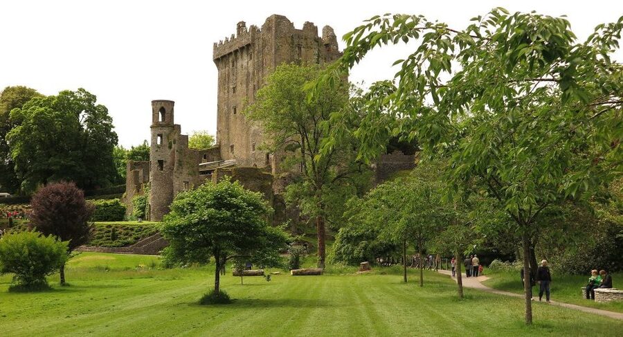 Dublin: Full-Day Tour to Cork, Cobh and Blarney Castle - Cork Harbour to Cobh: trading city time for maritime emotion