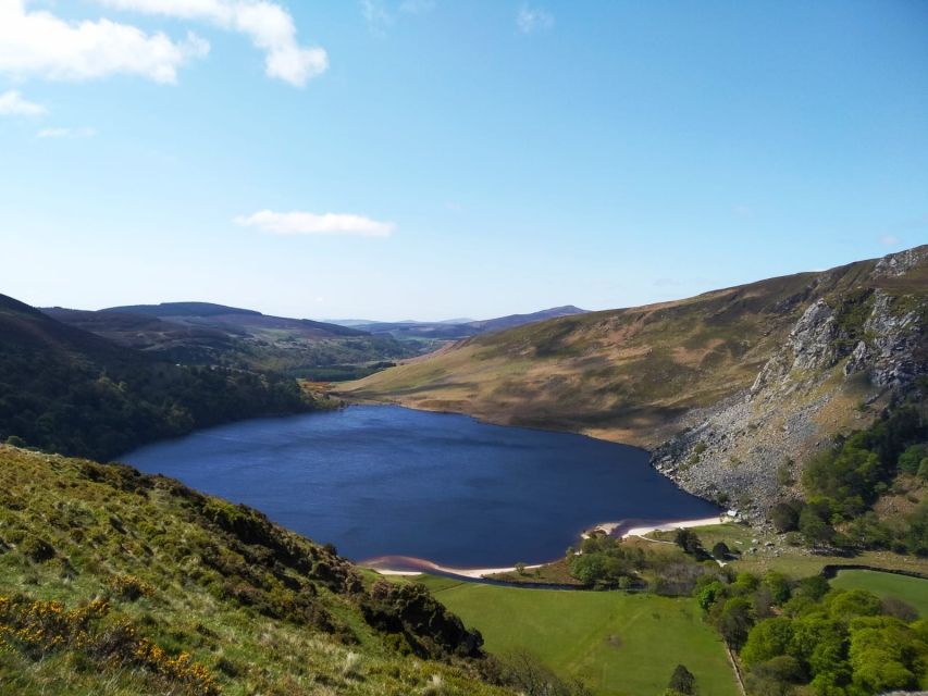 Dublin: Full-Day Wicklow Mountains Tour w/ Glendalough Visit - Key points before you go