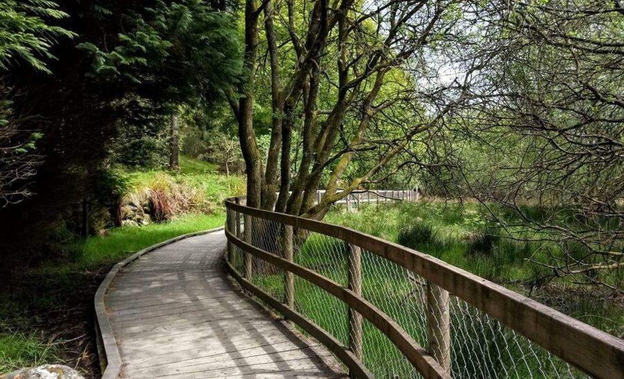 Dublin: Full-Day Wicklow Mountains Tour w/ Glendalough Visit - What to wear and bring for a day that mixes walking and weather